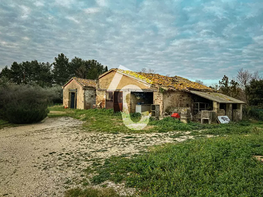 Immagine 18 di Terreno edificabile in vendita  a Jesi