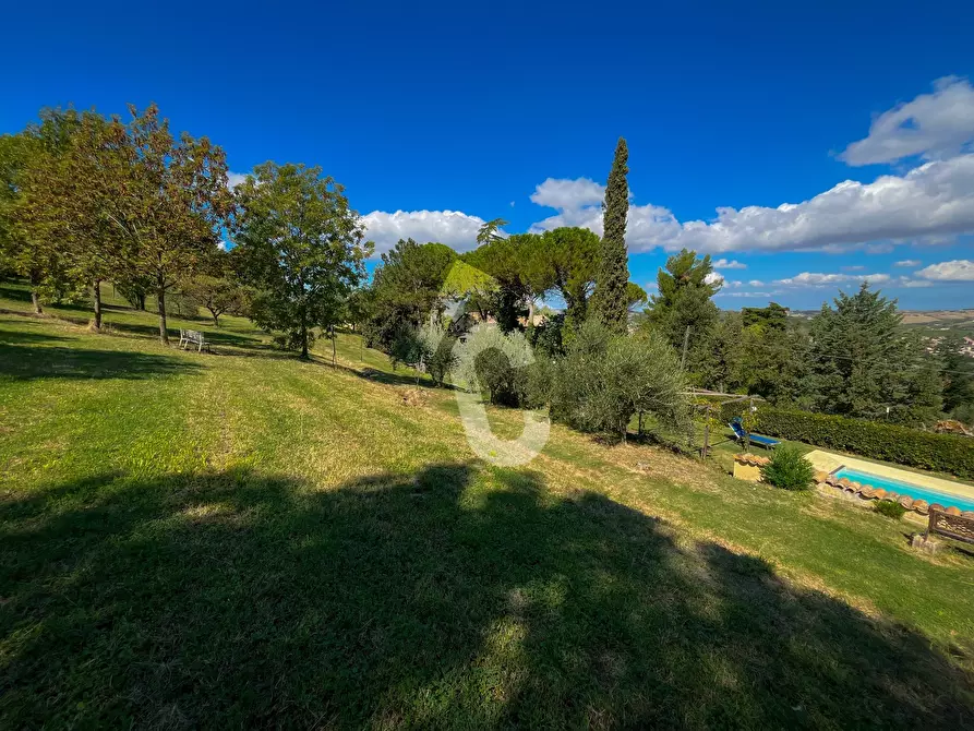 Immagine 5 di Casa bifamiliare in vendita  a Castelbellino