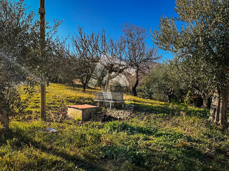 Immagine 54 di Rustico / casale in vendita  a Staffolo