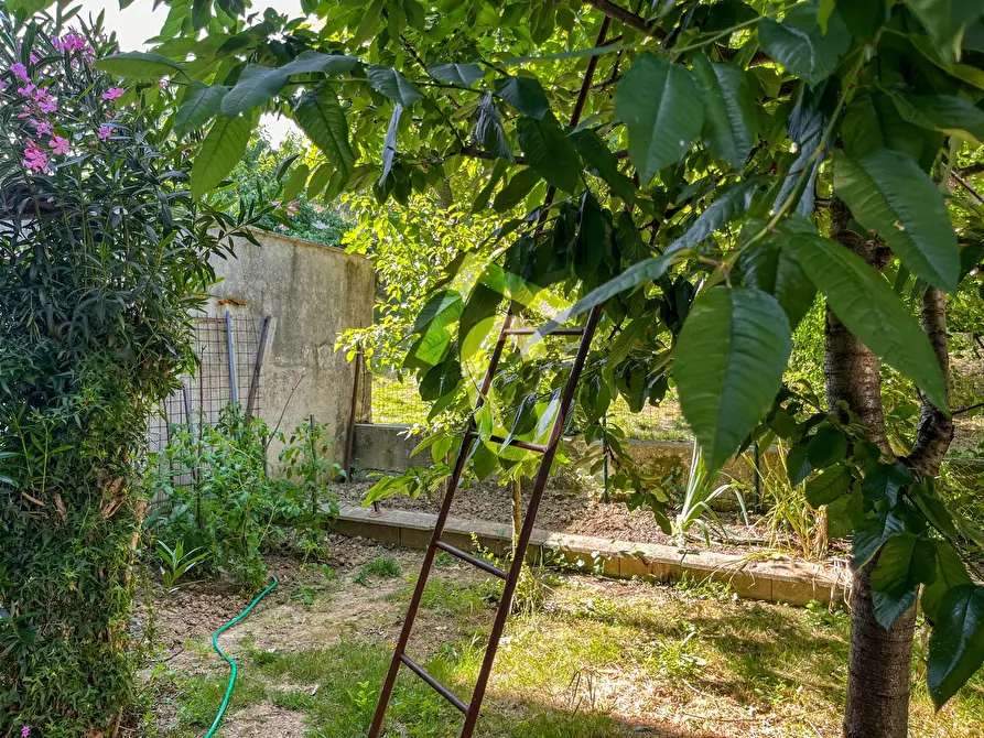 Immagine 4 di Quadrilocale in vendita  a Montecarotto