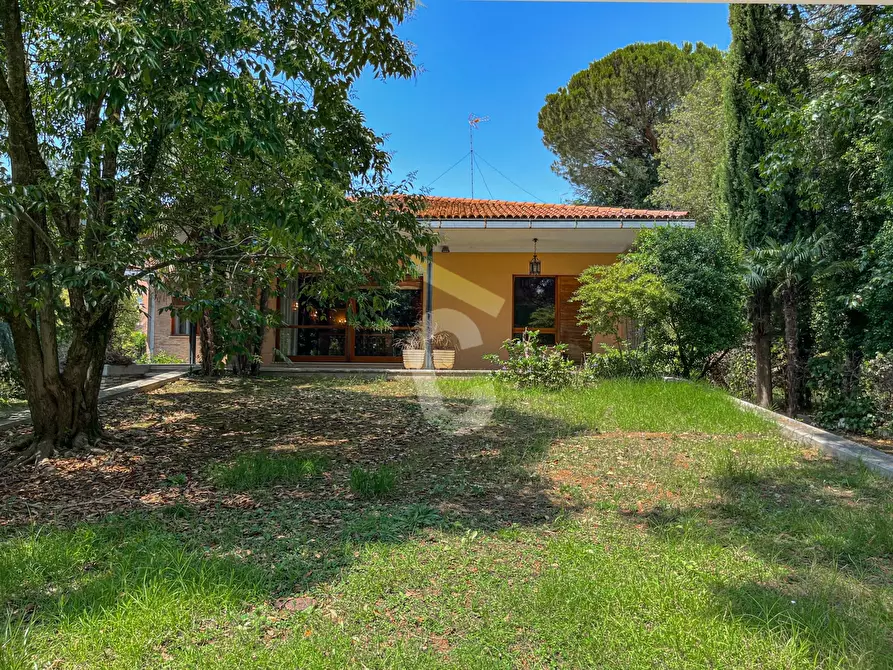 Immagine 4 di Villa in vendita  a Jesi