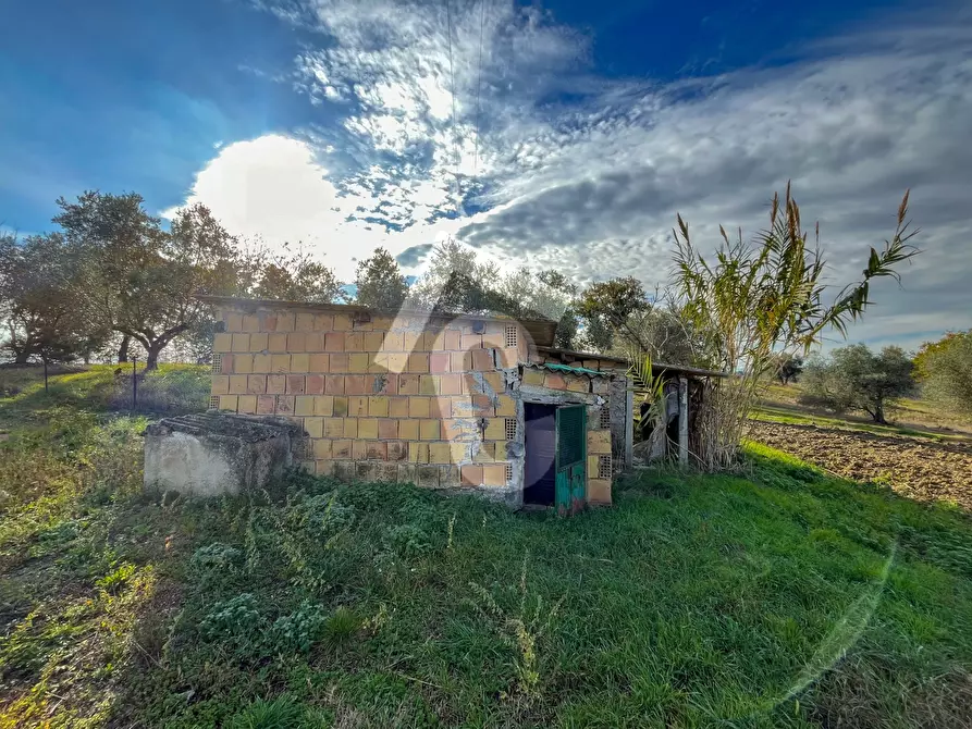 Immagine 29 di Rustico / casale in vendita  a Belvedere Ostrense