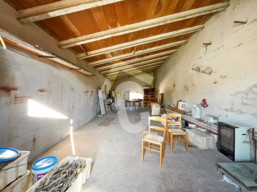 Immagine 57 di Rustico / casale in vendita  a Staffolo