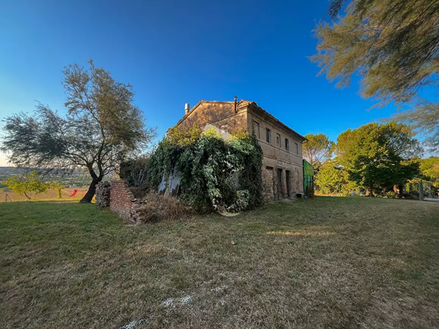 Immagine 32 di Rustico / casale in vendita  a Jesi