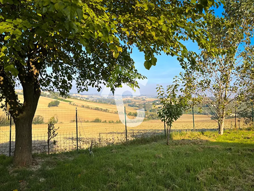 Immagine 7 di Rustico / casale in vendita  a Montecarotto