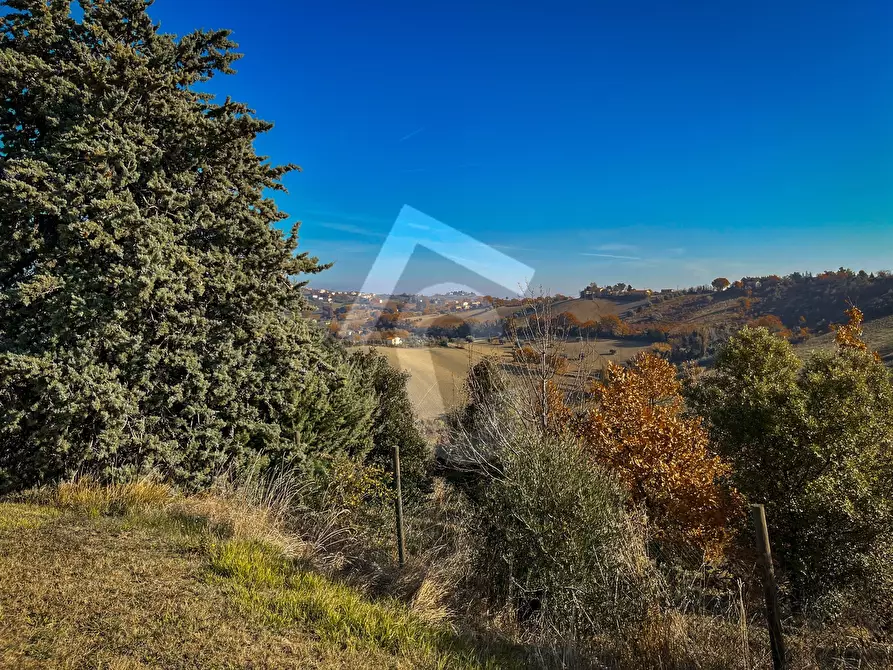 Immagine 60 di Rustico / casale in vendita  a Staffolo