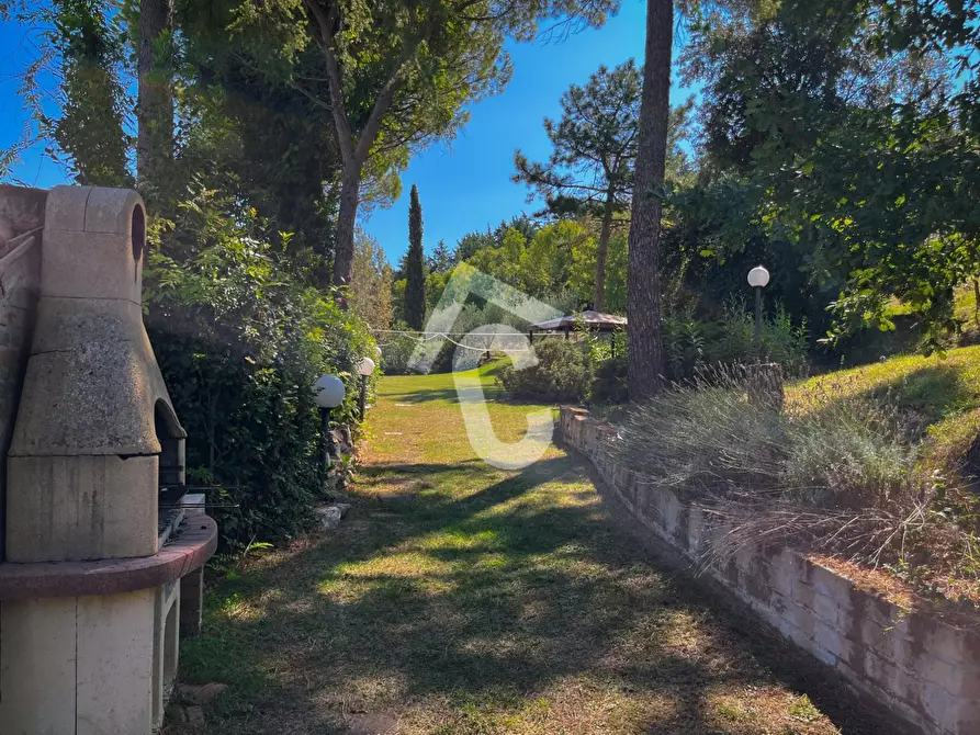 Immagine 8 di Casa bifamiliare in vendita  a Castelbellino