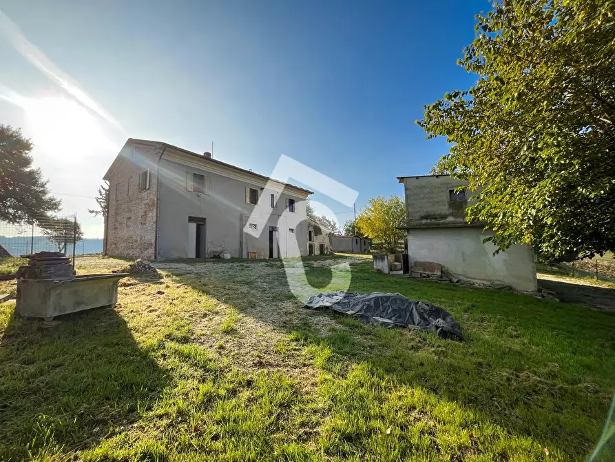 Immagine 6 di Rustico / casale in vendita  a Montecarotto