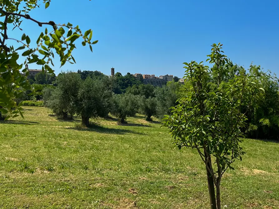 Immagine 35 di Rustico / casale in vendita  a Maiolati Spontini