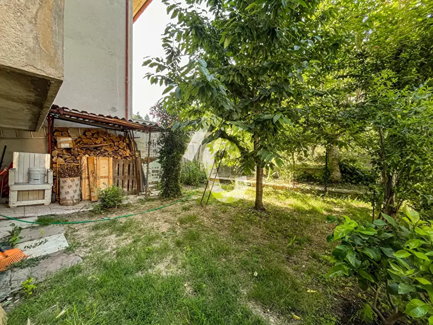 Immagine 3 di Quadrilocale in vendita  a Montecarotto