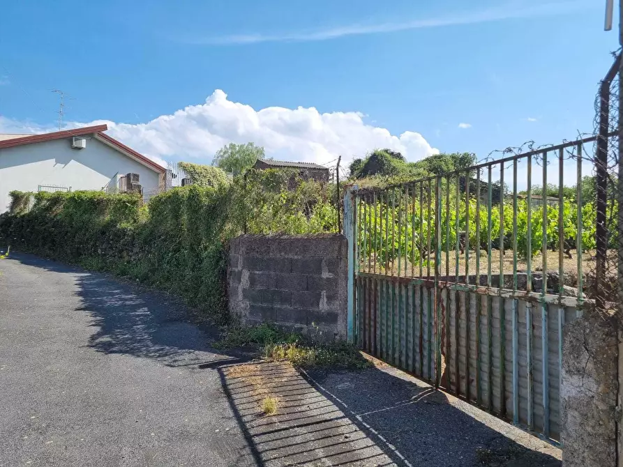 Immagine 11 di Terreno agricolo in vendita  a Tremestieri Etneo