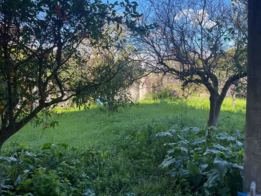 Immagine 8 di Villa in vendita  a Tremestieri Etneo