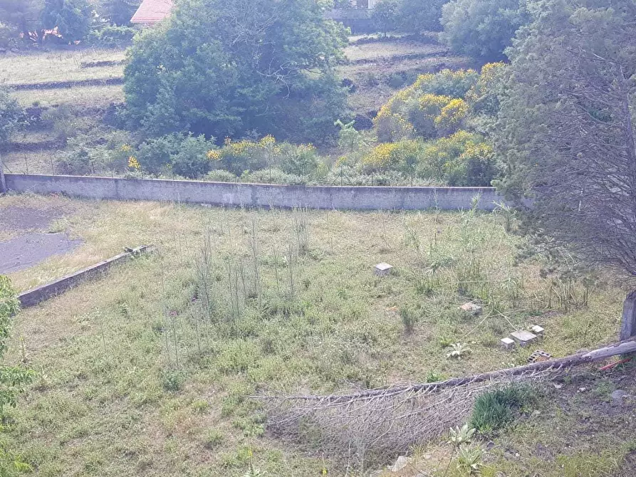 Immagine 4 di Casa indipendente in vendita  a Pedara