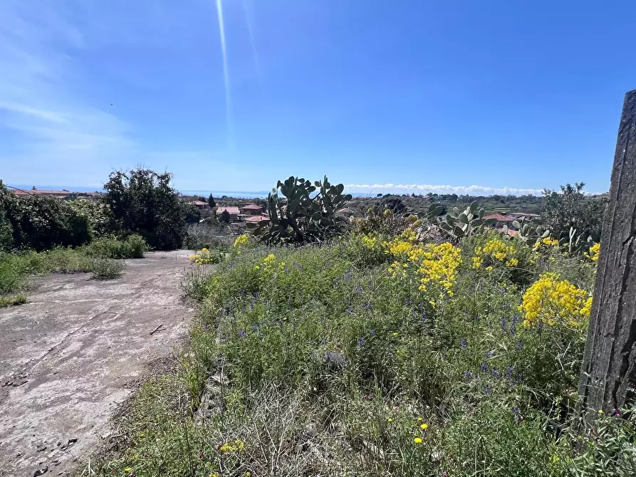Immagine 7 di Terreno agricolo in vendita  a Tremestieri Etneo