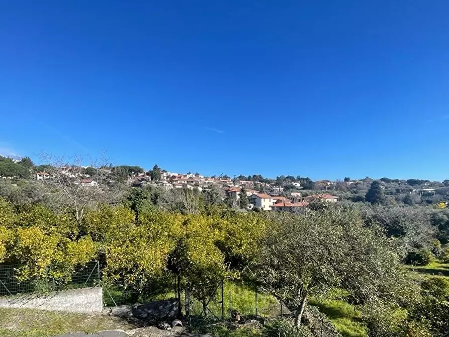 Immagine 32 di Terreno industriale in vendita  a Trecastagni