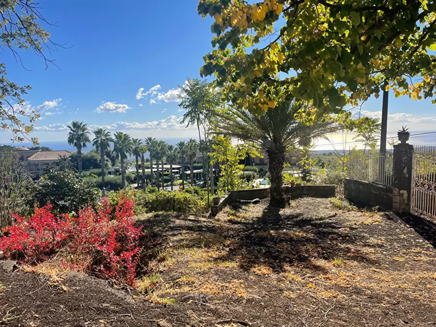 Immagine 4 di Villa in vendita  a Zafferana Etnea