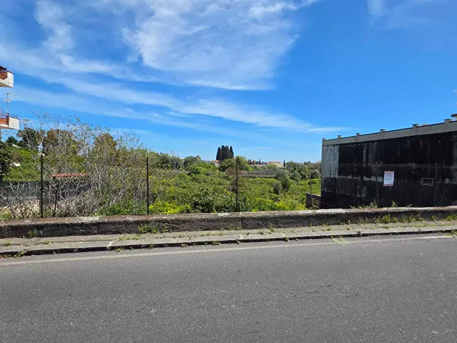 Immagine 3 di Terreno agricolo in vendita  a Tremestieri Etneo