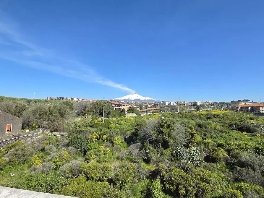 Immagine 14 di Appartamento in vendita  a Gravina Di Catania