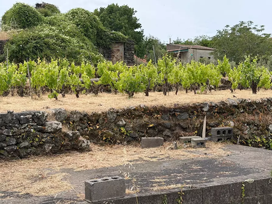Immagine 9 di Terreno agricolo in vendita  a Tremestieri Etneo