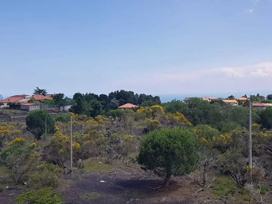 Immagine 10 di Casa indipendente in vendita  a Pedara