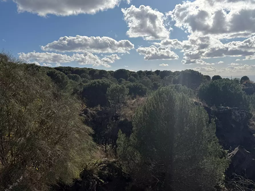 Immagine 1 di Terreno agricolo in vendita  a Nicolosi