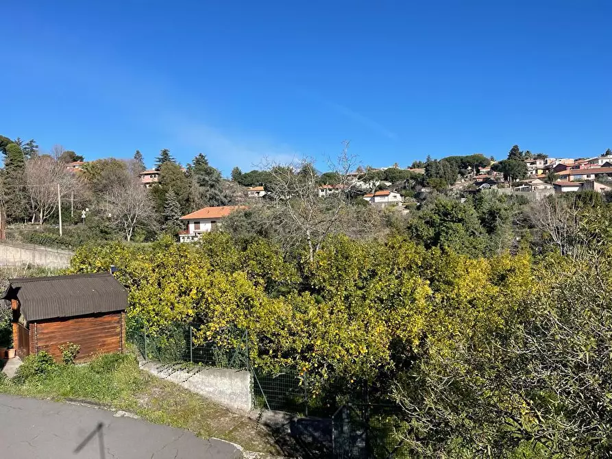 Immagine 37 di Terreno industriale in vendita  a Trecastagni