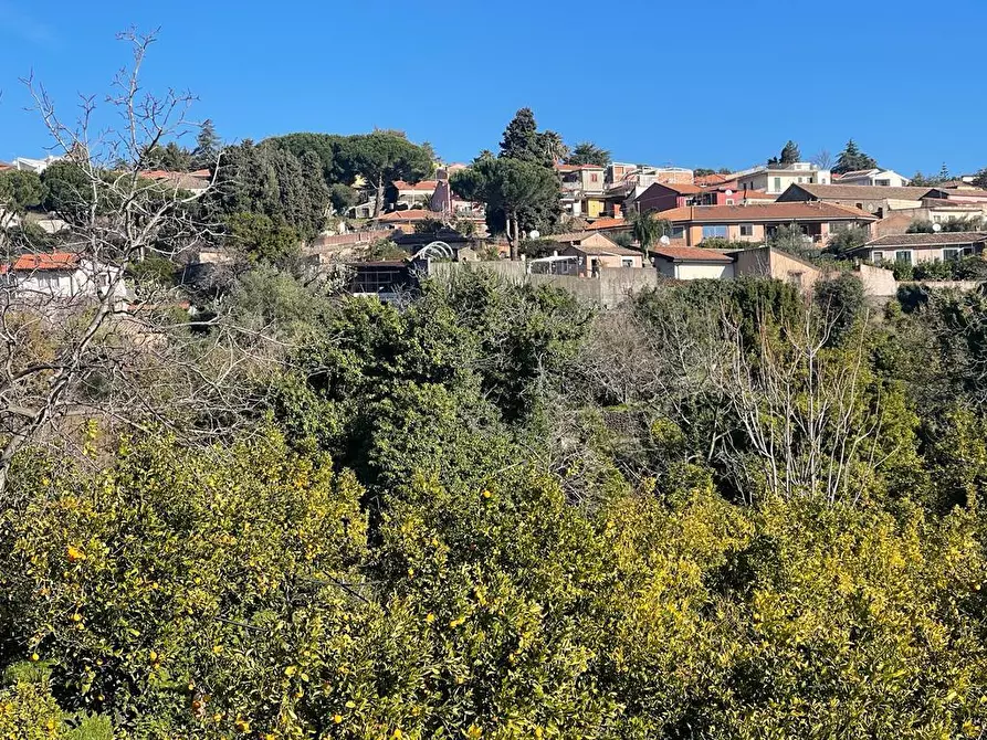 Immagine 34 di Terreno industriale in vendita  a Trecastagni