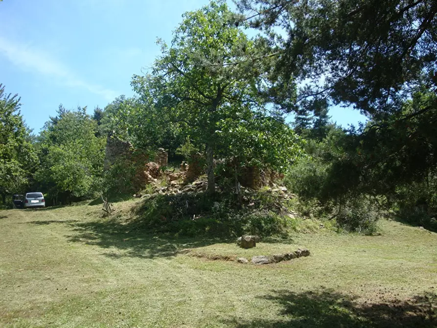 Immagine 1 di Terreno edificabile in vendita  in loc. Palo - Patare 1 a Sassello