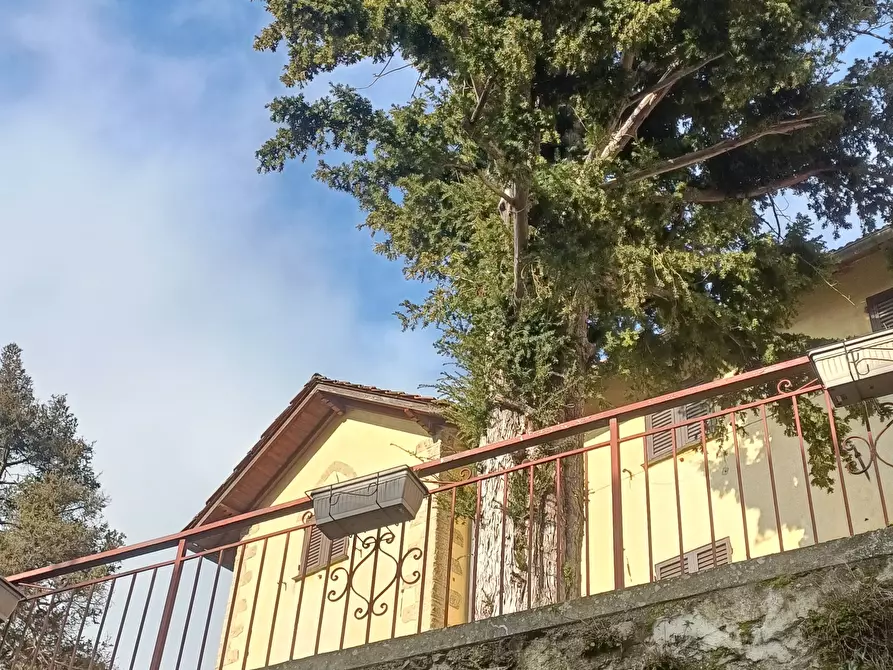 Immagine 3 di Appartamento in vendita  in Via Prato 21 a Savignone