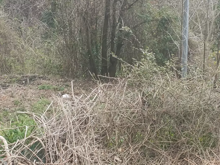 Immagine 12 di Casa indipendente in vendita  in Via Gino Pellegrini 10 a Varazze