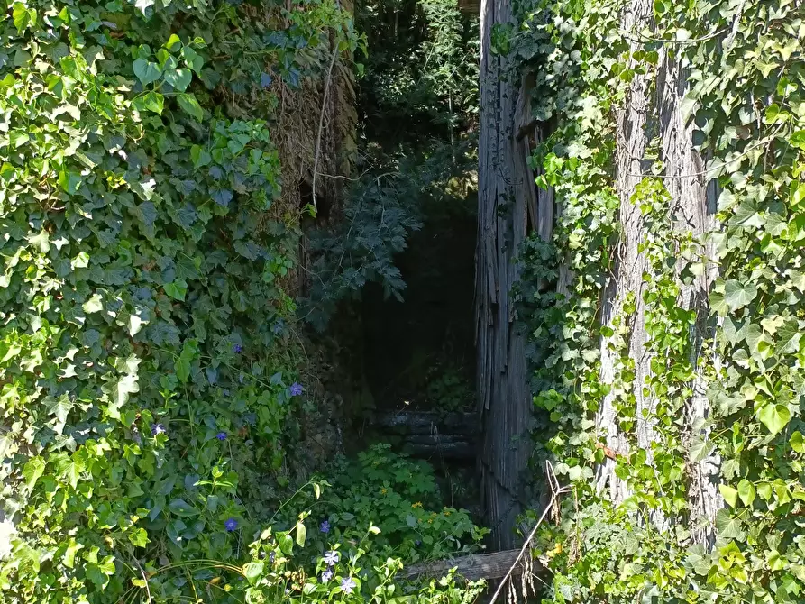 Immagine 40 di Casa indipendente in vendita  in Via Campomarzio 9 a Varazze