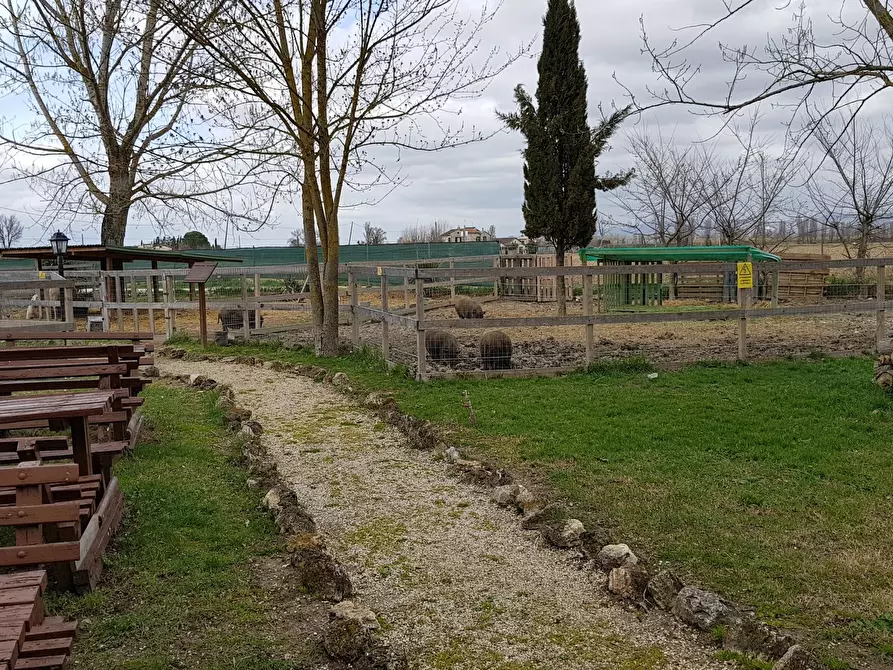 Immagine 33 di Casa vacanze in vendita  a Bevagna