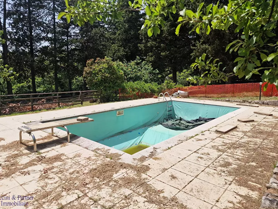 Immagine 58 di Villa in vendita  in Via dei Cespugli 12 a Passignano Sul Trasimeno