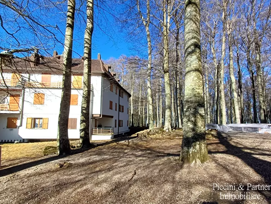 Immagine 34 di Bilocale in vendita  in Prato della Marsiliana Monte Amiata a Seggiano