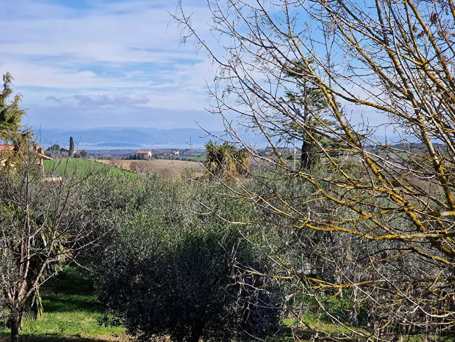 Immagine 45 di Villa in vendita  in Viale Perugia 37 a Castiglione Del Lago