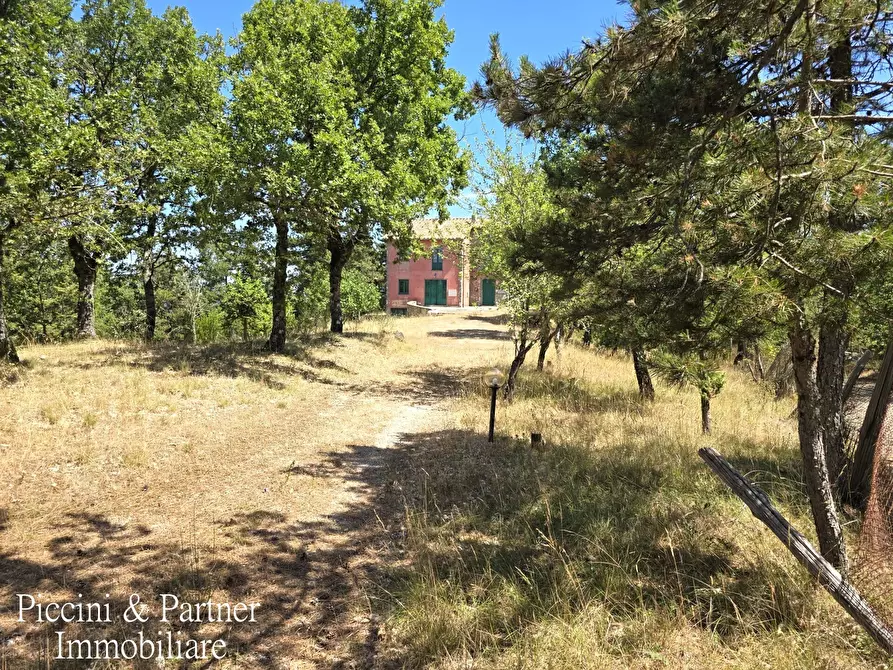 Immagine 2 di Villa in vendita  in Vocabolo Fiatello a San Venanzo