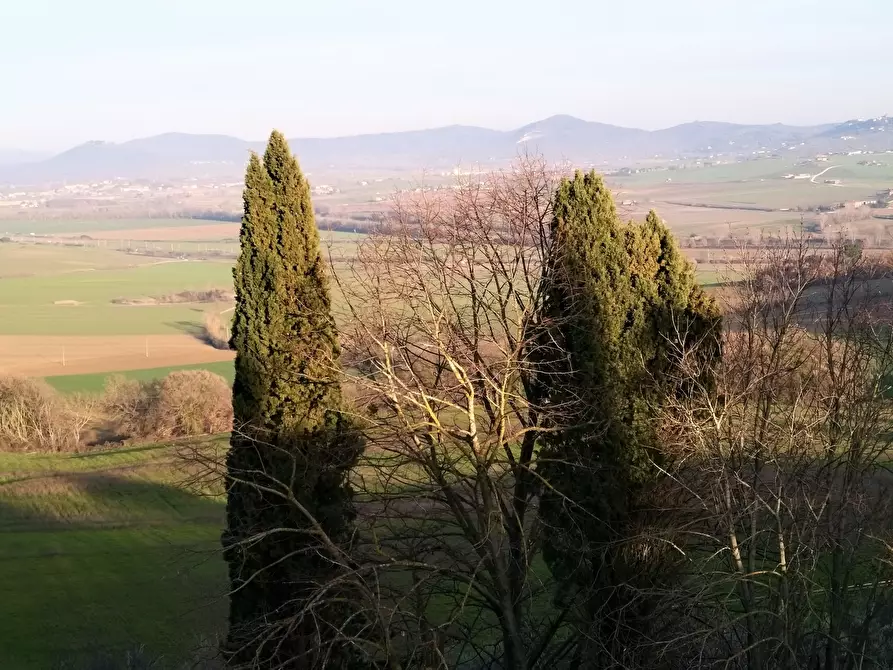 Immagine 38 di Rustico / casale in vendita  in Località I Poggi 28 a Castiglione Del Lago