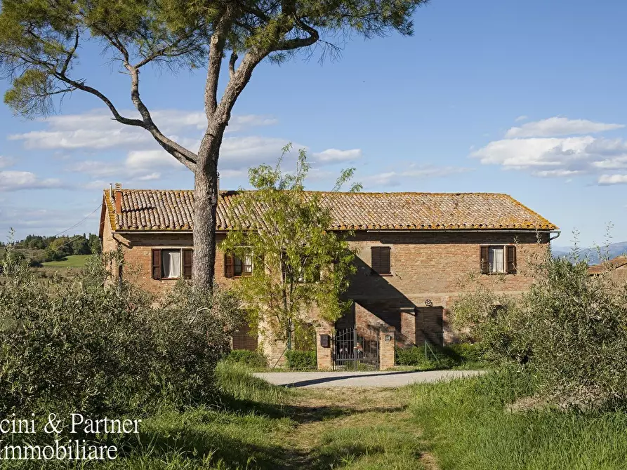 Immagine 1 di Rustico / casale in vendita  in Località Cantagallina Alta 11 a Castiglione Del Lago