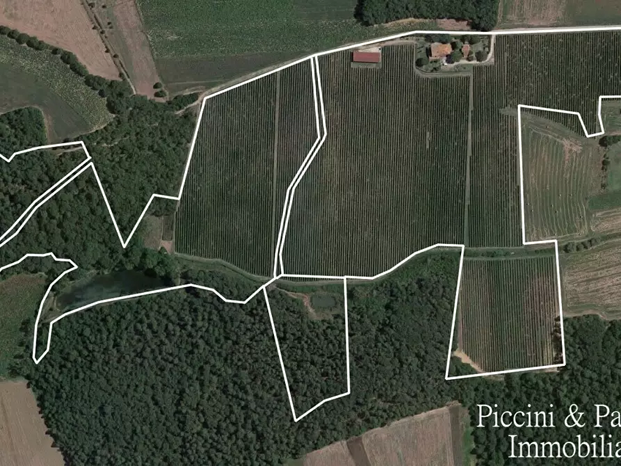 Immagine 2 di Rustico / casale in vendita  in Località Croce 68 a Castiglione Del Lago