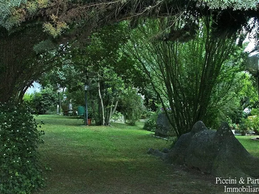 Immagine 11 di Albergo/B&B/Residence in vendita  a Magione