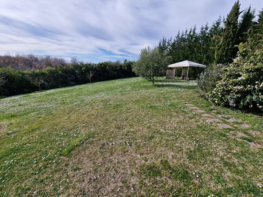 Immagine 54 di Rustico / casale in vendita  in Strada Provinciale della Montagna di Cetona a Sarteano