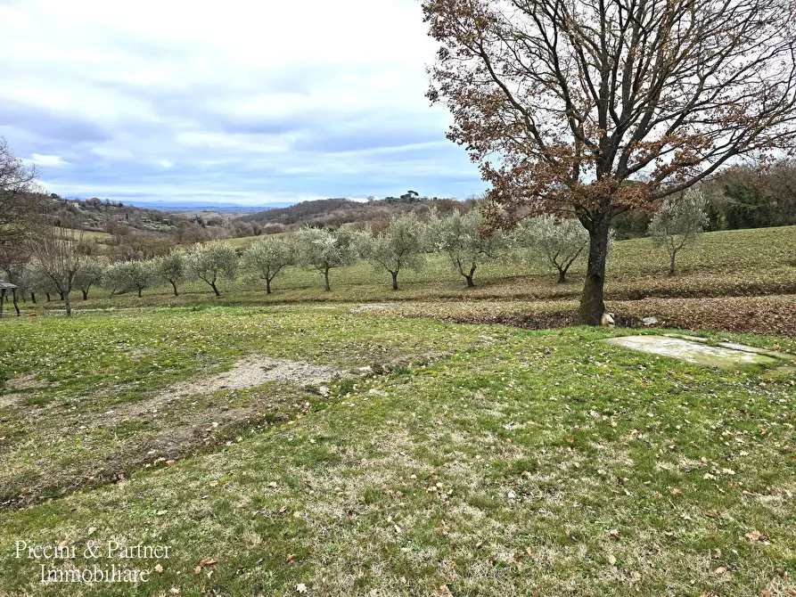 Immagine 4 di Casa indipendente in vendita  in Strada di Pereta a Chianciano Terme