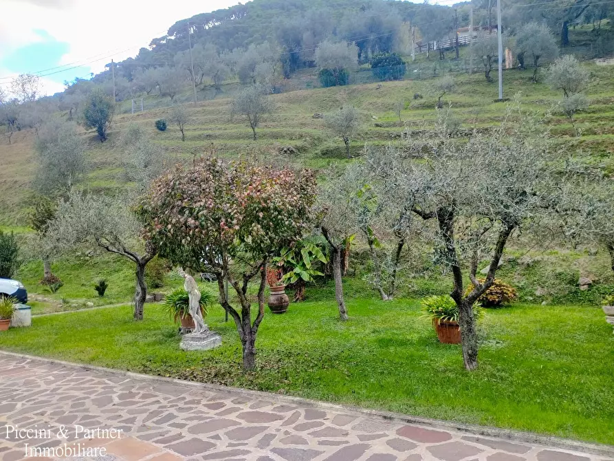 Immagine 37 di Villa in vendita  in Via Giovan Pietro Vitali a Massa