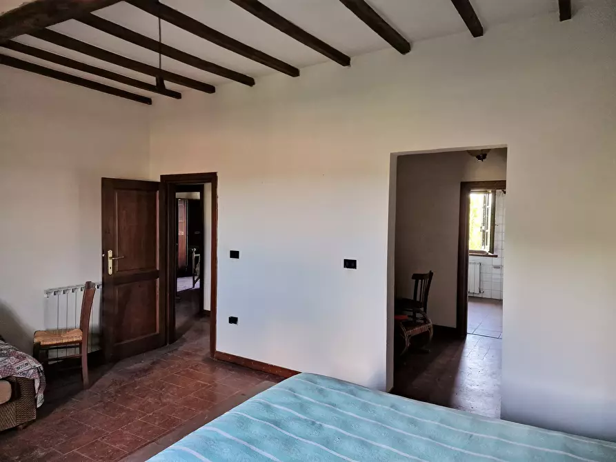 Immagine 33 di Rustico / casale in vendita  in Località Cantagallina Alta 11 a Castiglione Del Lago