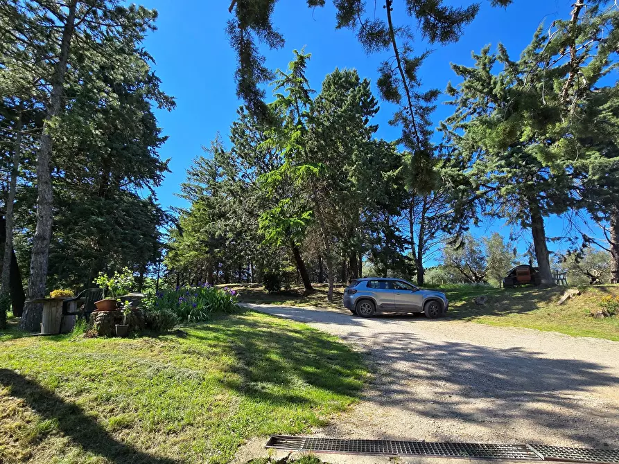 Immagine 78 di Rustico / casale in vendita  in Migianella a Umbertide