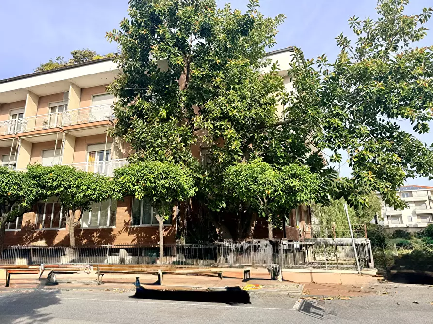Immagine 10 di Trilocale in vendita  in Viale J. F. Kennedy 129 a Diano Marina