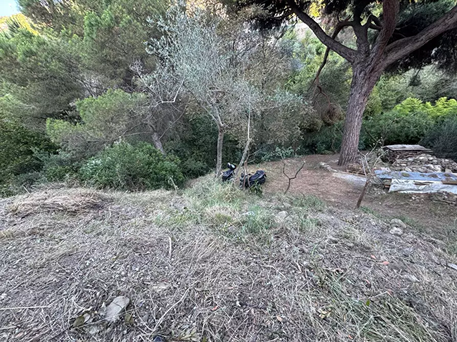 Immagine 27 di Rustico / casale in vendita  in Via Val D'Olivi 185 a San Remo