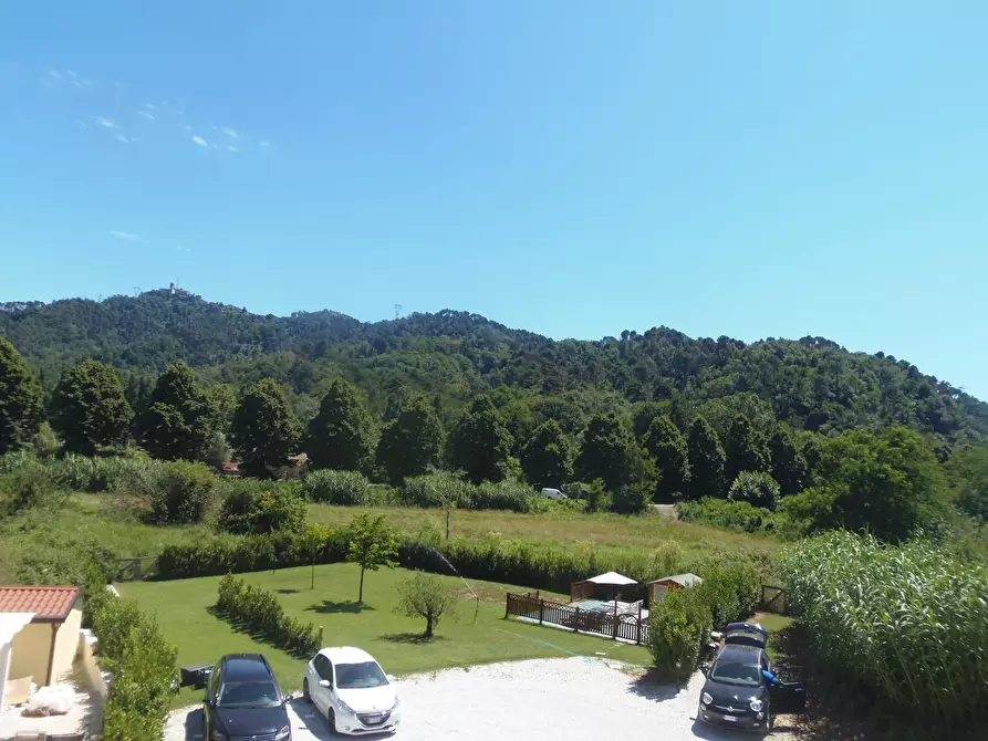 Immagine 8 di Casa semindipendente in affitto  a Camaiore