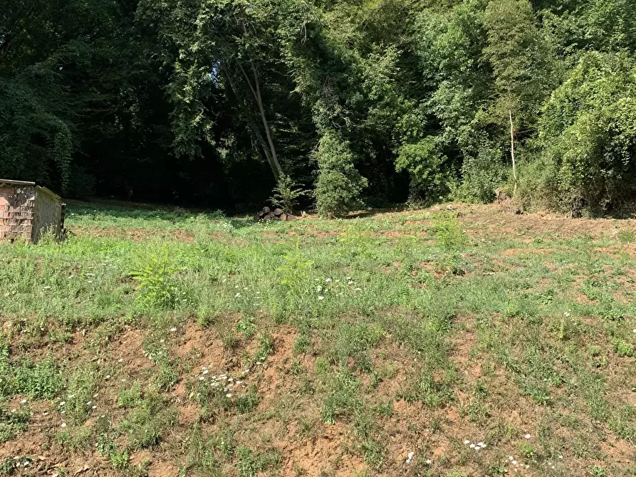 Immagine 41 di Rustico / casale in vendita  a Camaiore