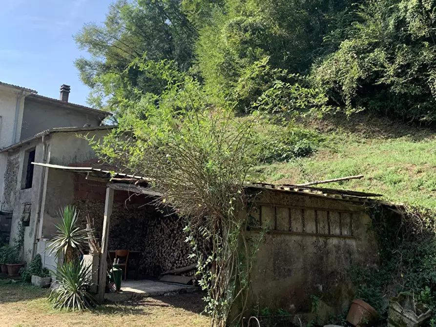 Immagine 40 di Rustico / casale in vendita  a Camaiore
